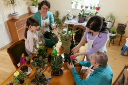 The Benefits of Houseplants