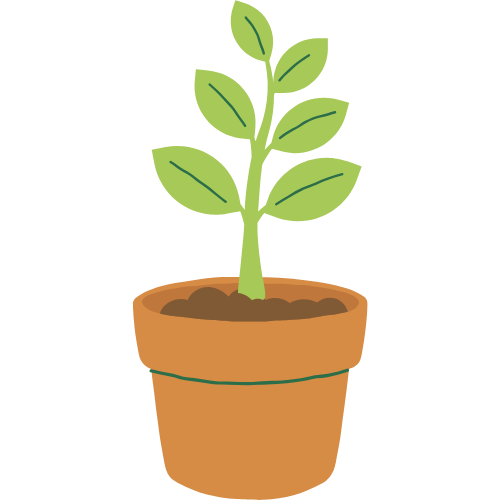 theplantsdiary