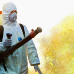 Organic Pest Control: Creating a Healthy Garden Ecosystem