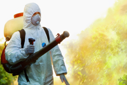 Organic Pest Control: Creating a Healthy Garden Ecosystem