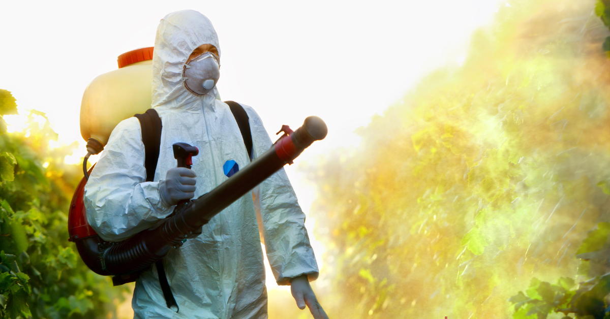 Organic Pest Control: Creating a Healthy Garden Ecosystem