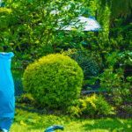 A Year-Round Plan: Essential Seasonal Garden Care Tasks