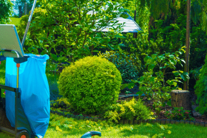 A Year-Round Plan: Essential Seasonal Garden Care Tasks