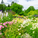 Planting a Perennial Flower Bed