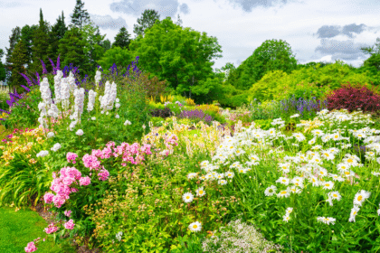 Planting a Perennial Flower Bed