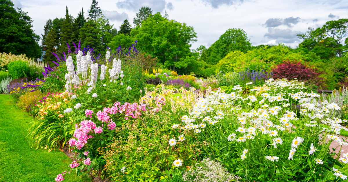 Planting a Perennial Flower Bed