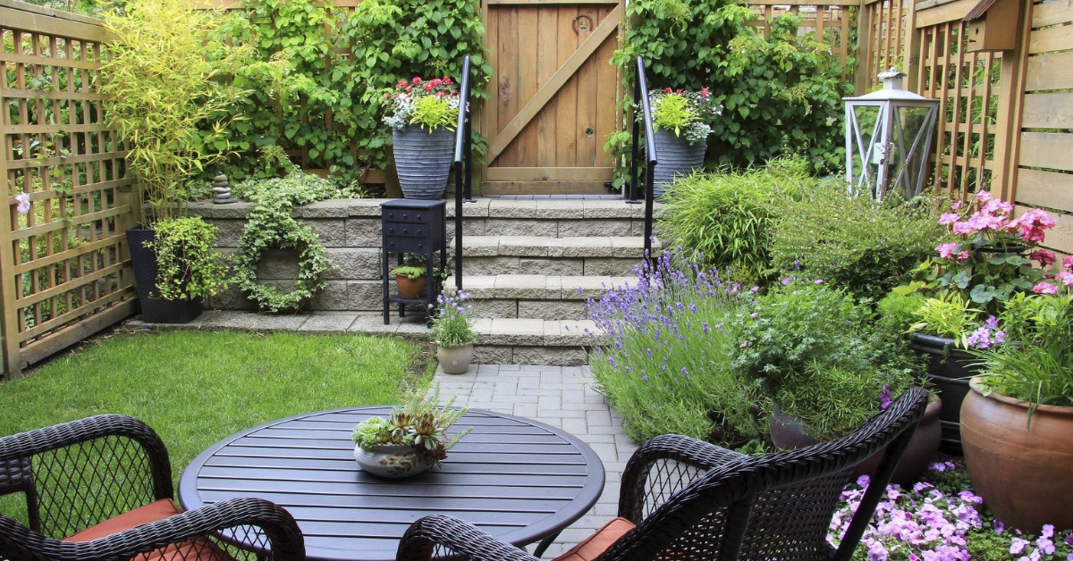 Gardening Tip: Know How Much Space You Have